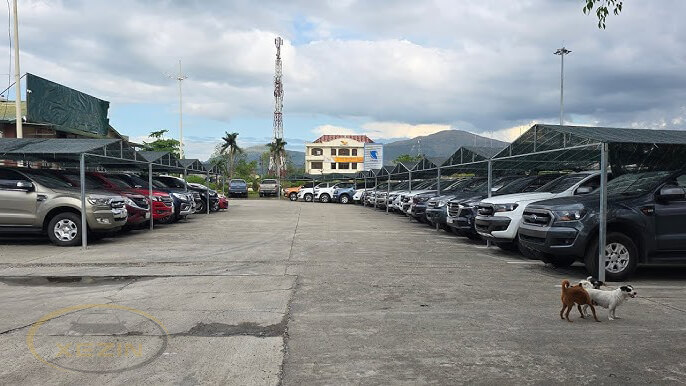 thu mua xe của các công ty liên doanh